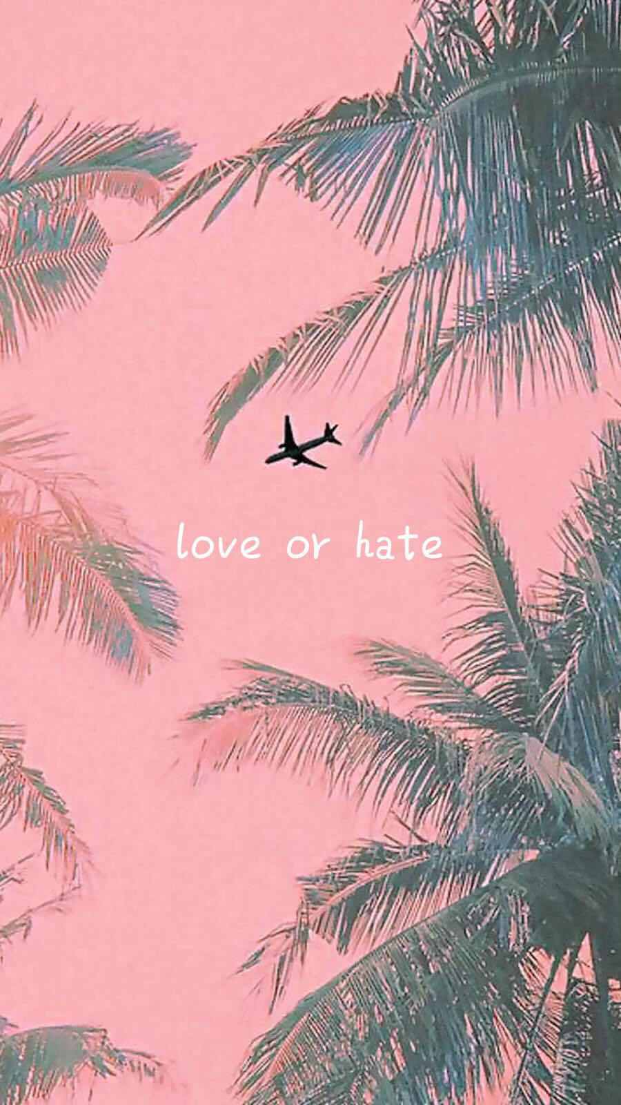 love or hate专辑