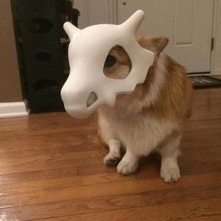 愿喜