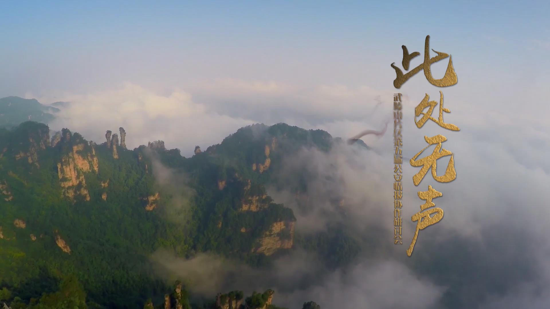 此处无声专辑