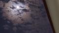 My moon专辑