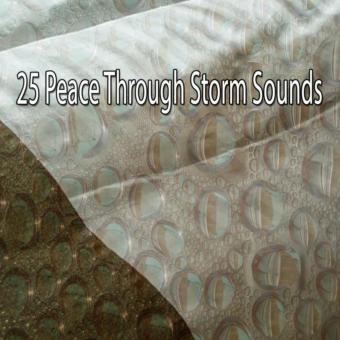 25 Peace Through Storm Sounds专辑