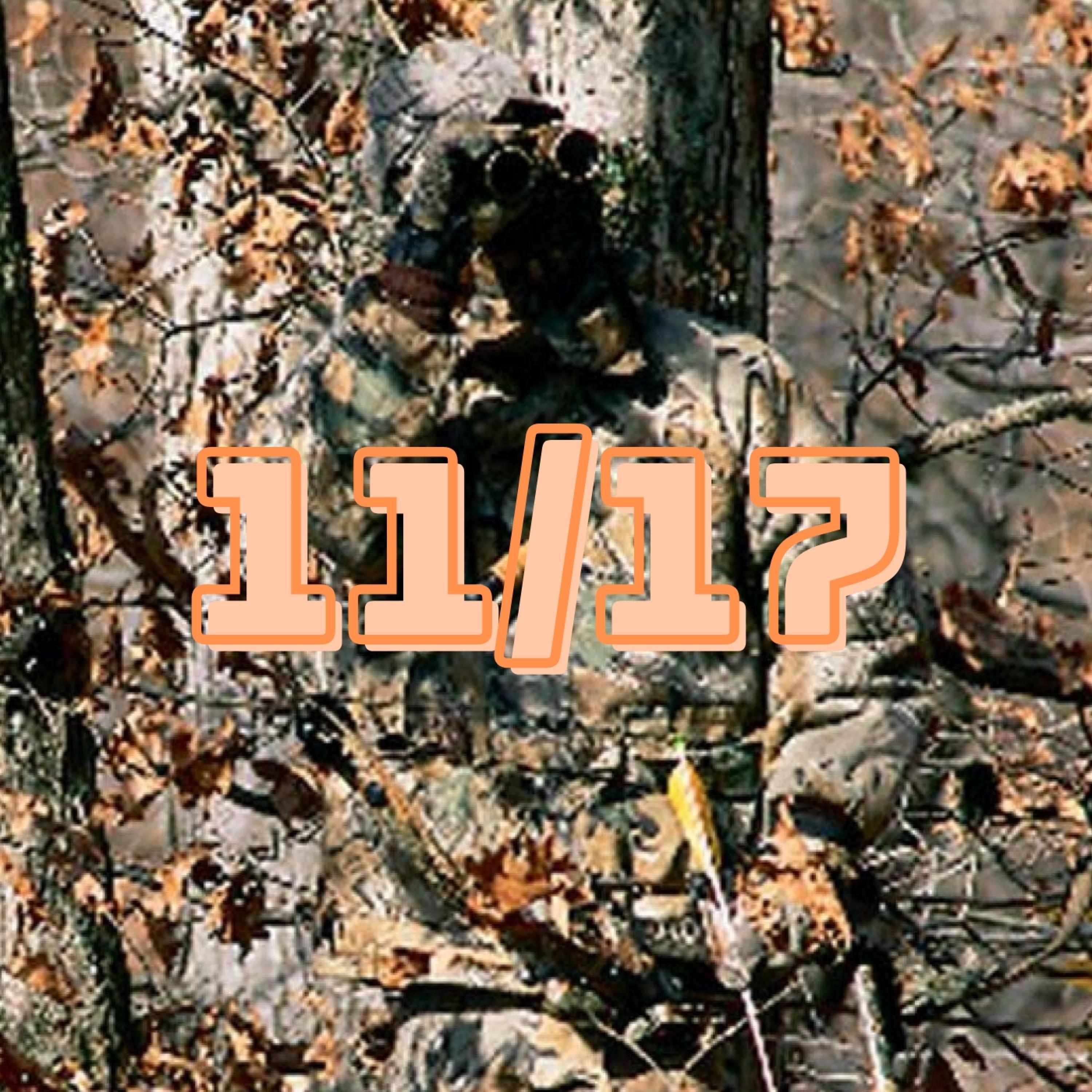 11/17