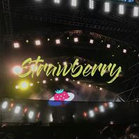 你还记得那个电影演员吗(新裤子乐队 乐队的夏天)