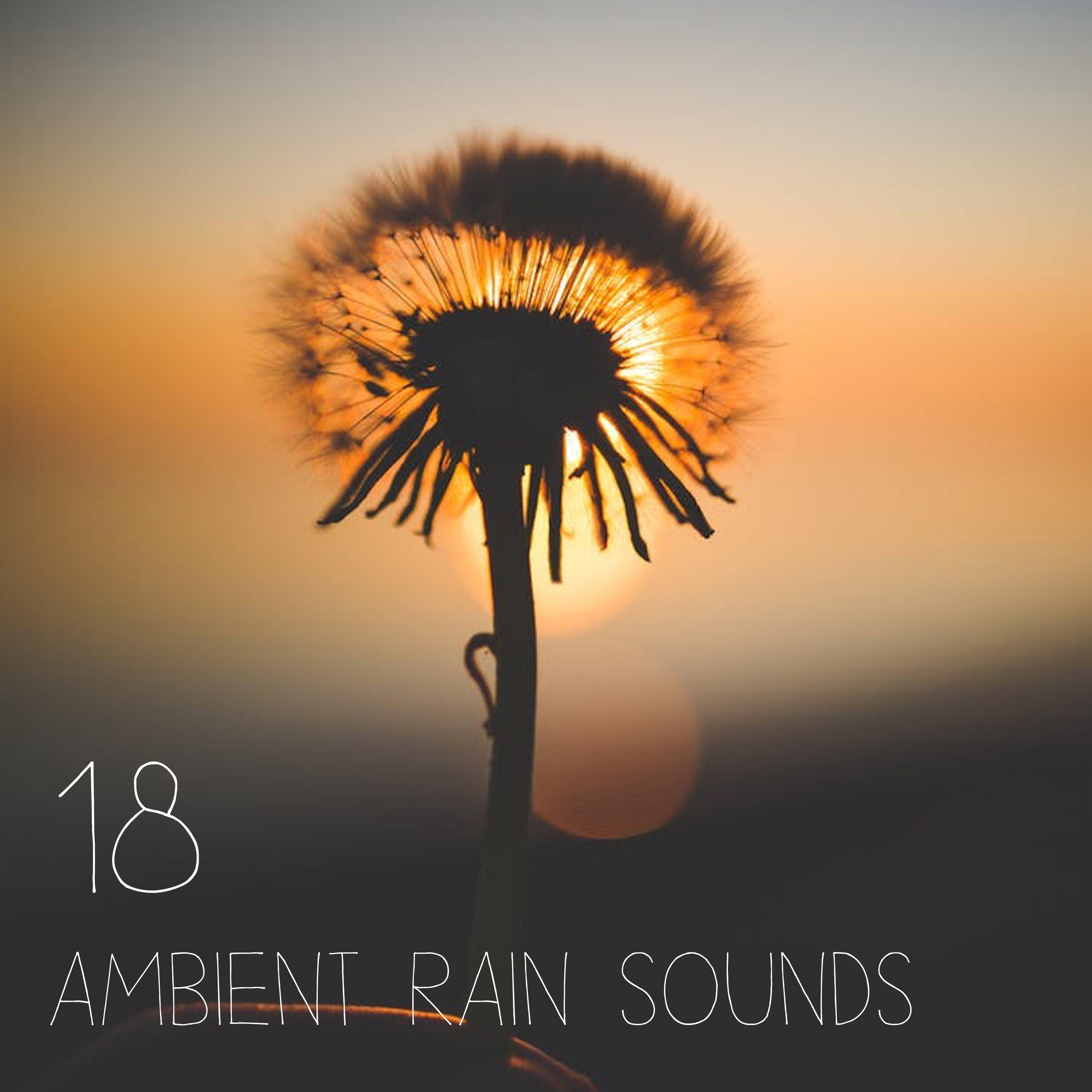 18 Ambient Rain Sounds and Sounds of Water - Deep Meditation and Sleep Sounds专辑