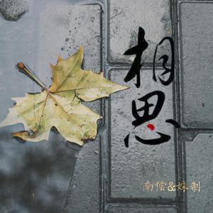 相思偿（原版伴奏）