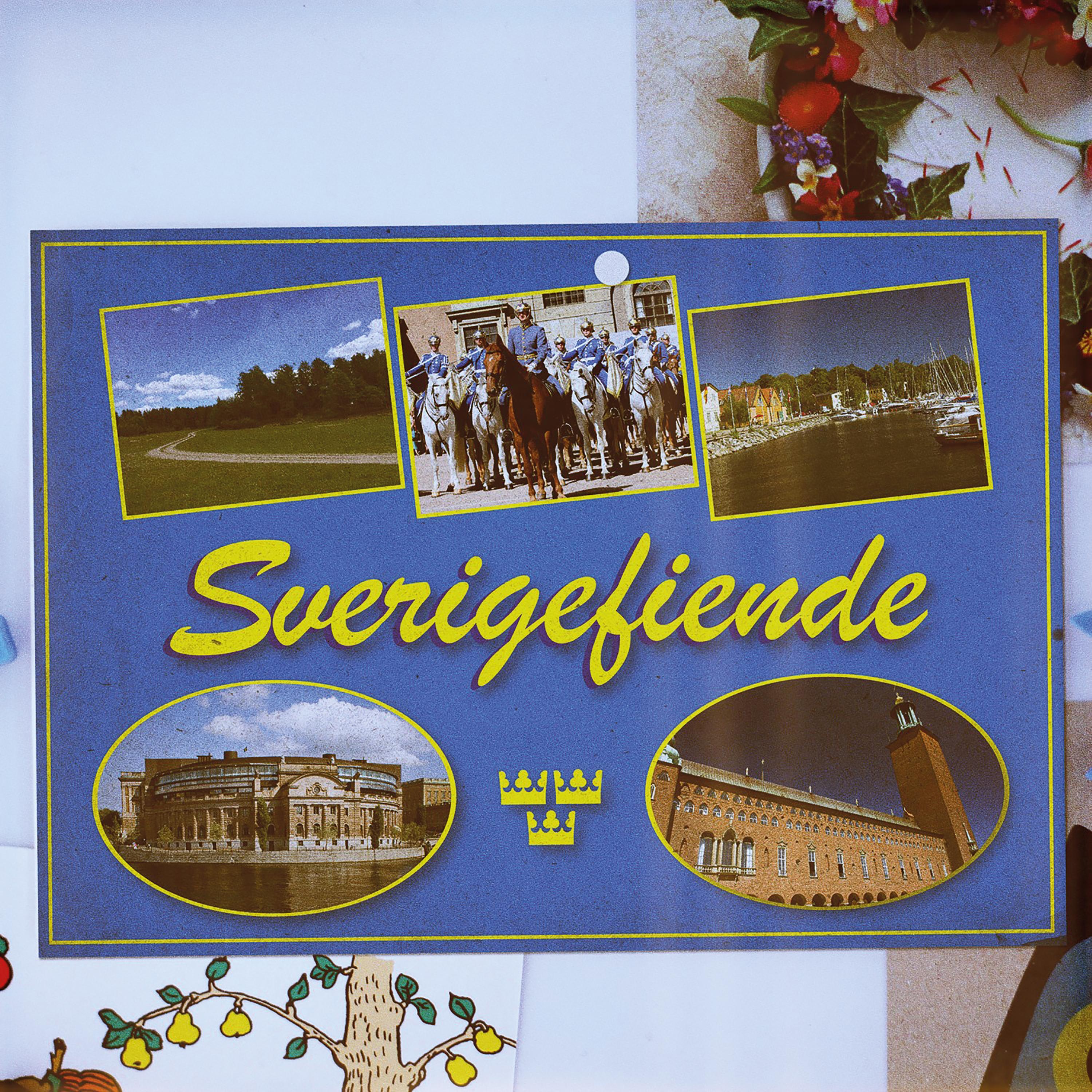 Sverigefiende (Fest mot våldsgrupp)