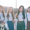 本月少女 yyxy