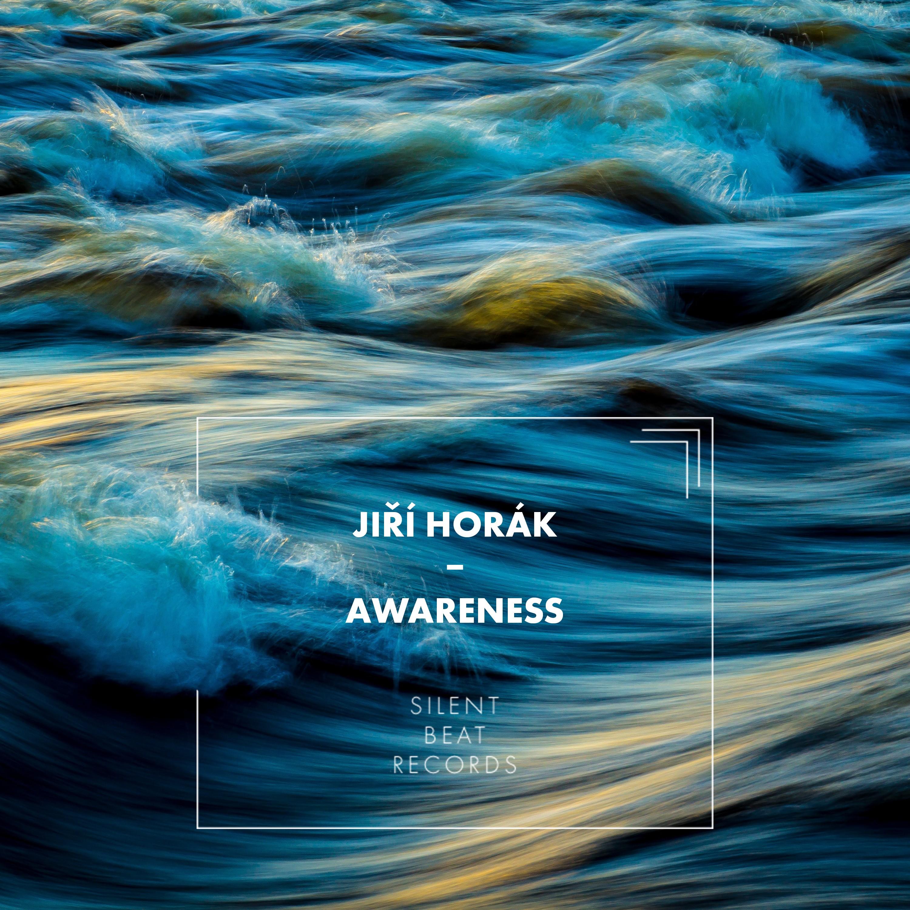 Awareness