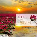 Feel The Feeling Vol.18