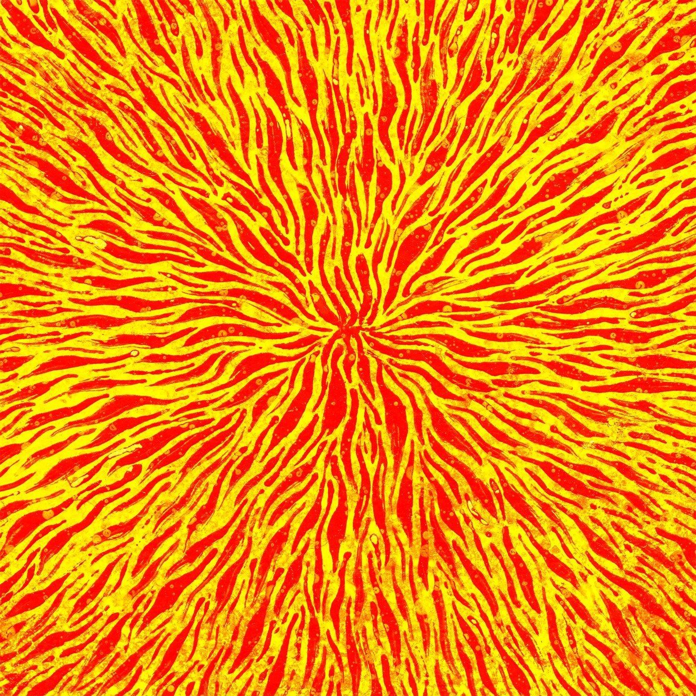 We Are All Fire