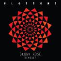 Blown Rose (Remixes)专辑