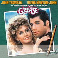 Olivia Newton John & John Travolta - Youre The One That I Want ( Karaoke )
