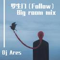 罗生门（Follow）Big room mix