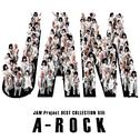 JAM Project BEST COLLECTION XIII A-ROCK专辑