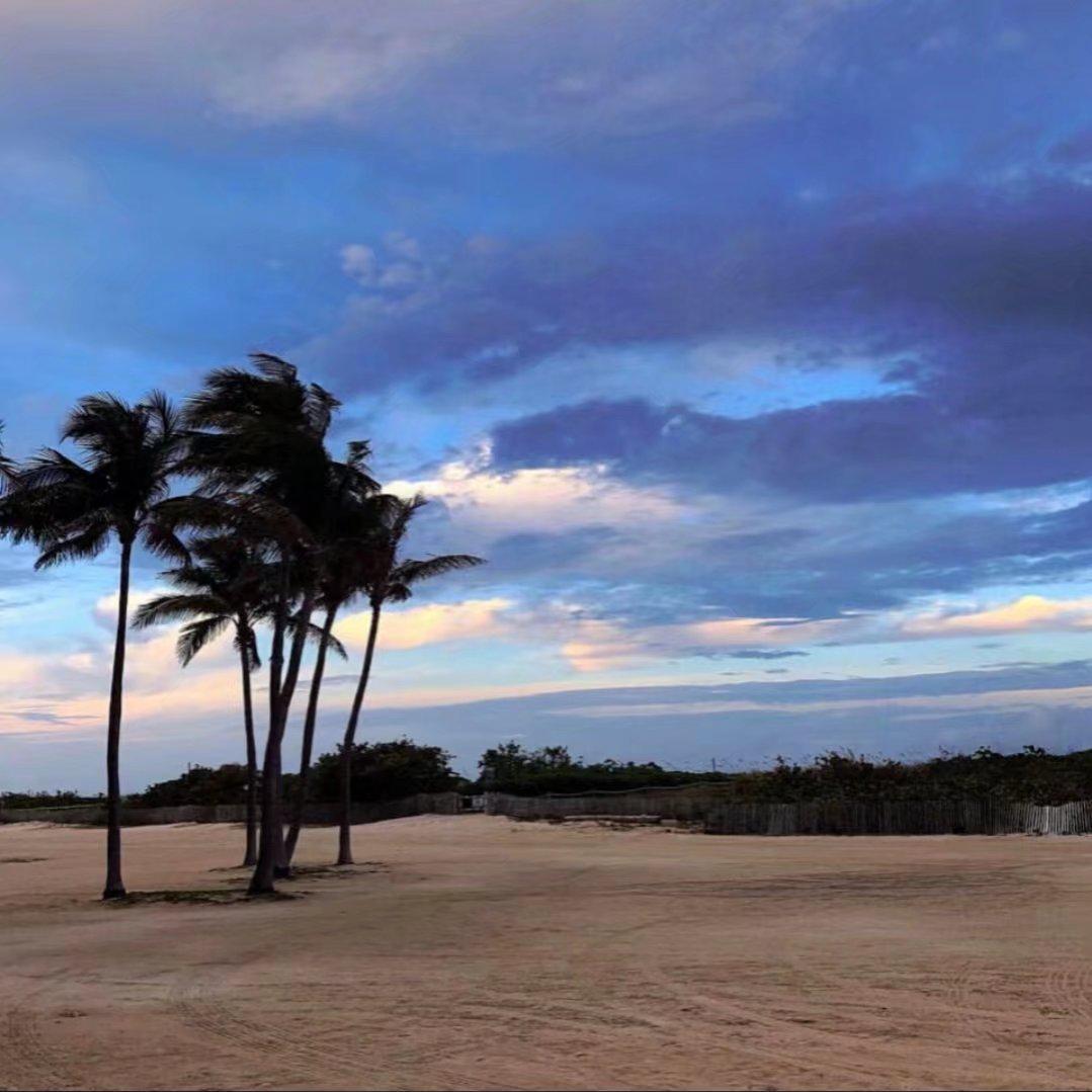 各花各有各花香