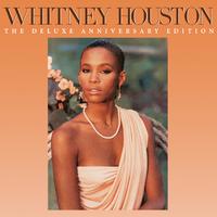 原版伴奏   Hold Me - Whitney Houston &amp; Teddy Pendergrass (instrumental)无和声