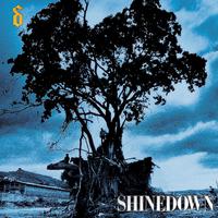 原版伴奏   Shinedown - Simple Man (karaoke Version)  [无和声]