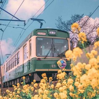 近日宜远游 | 开往春天的列车
