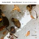 Franz Schubert: Sonatas & Impromptus专辑