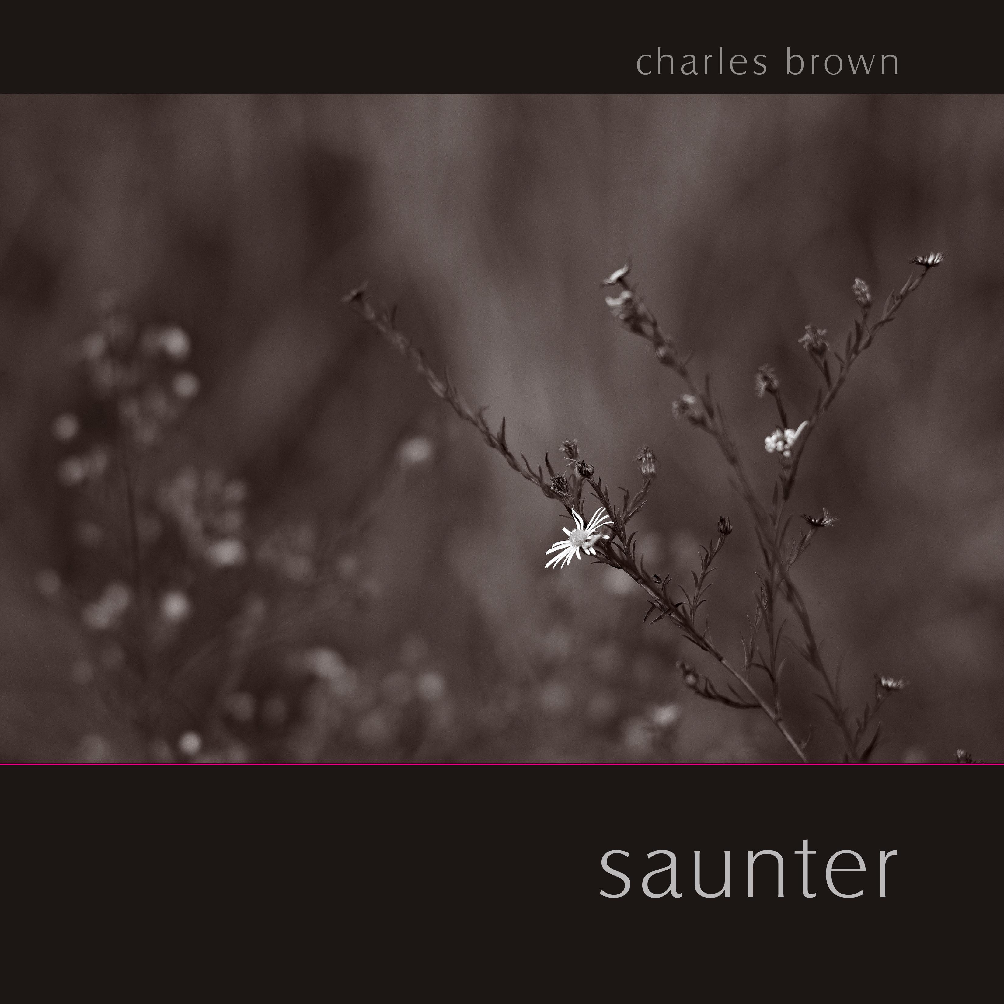 Saunter