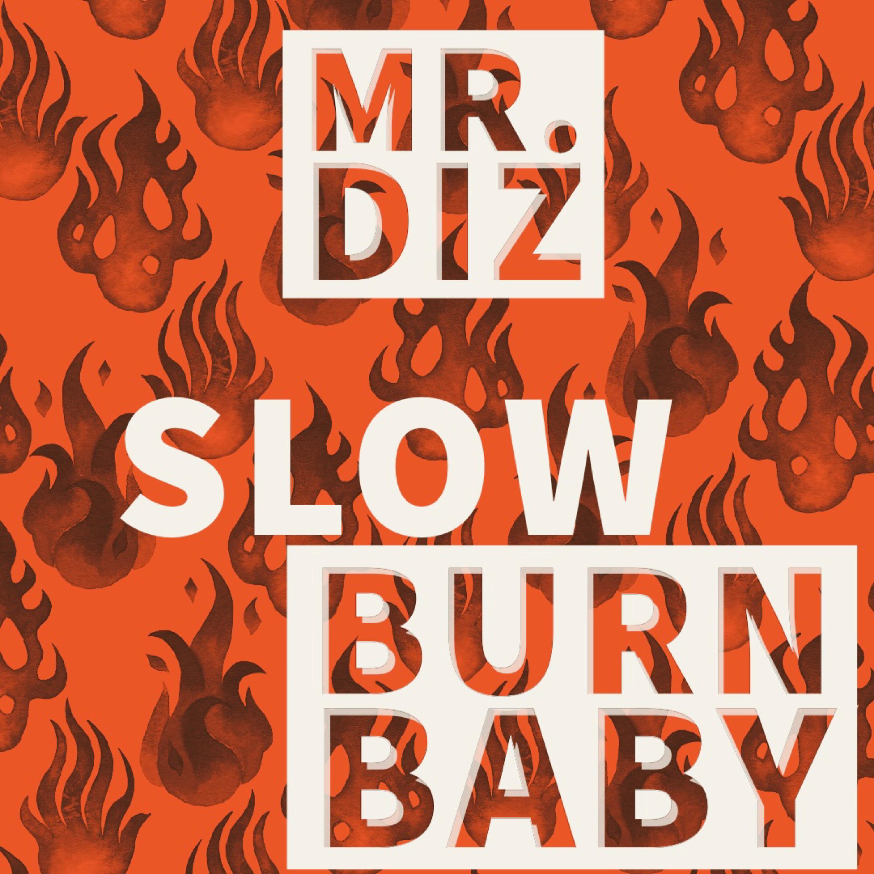 Mr Diz - Slow Burn Baby