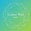 Summer Wind专辑