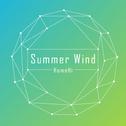 Summer Wind专辑