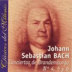 Concierto Brandenburgo No. 4, in G Major, BWV 1049: Andante