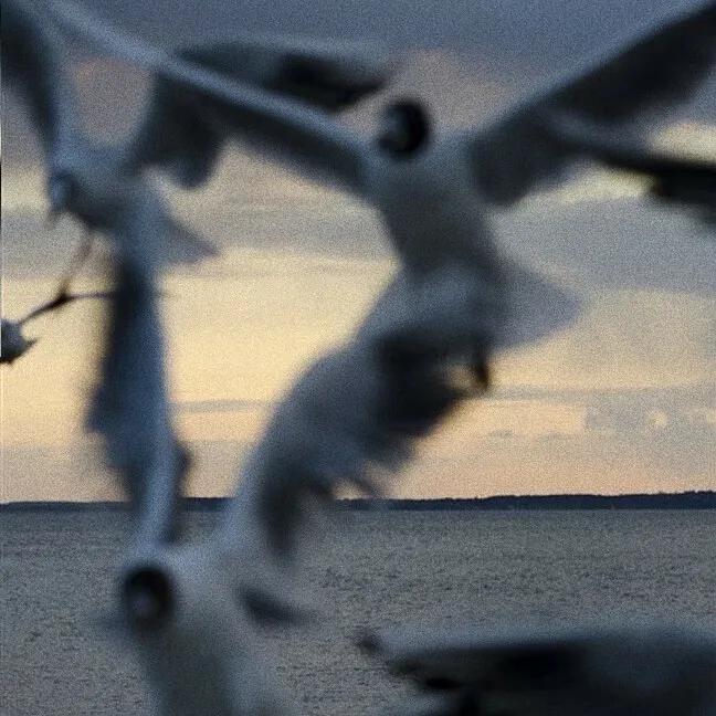 i hate u i love u（翻唱）