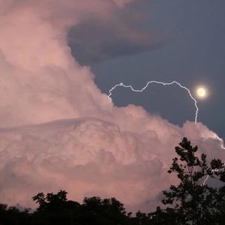 人间不值得【古风】