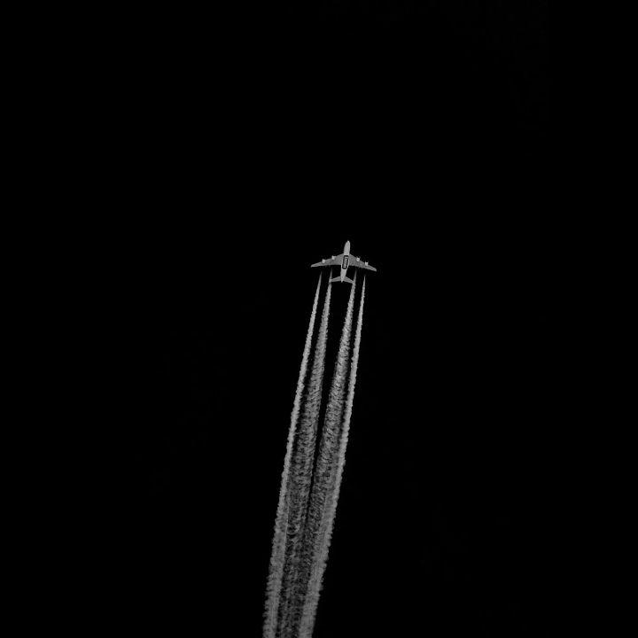 Fly