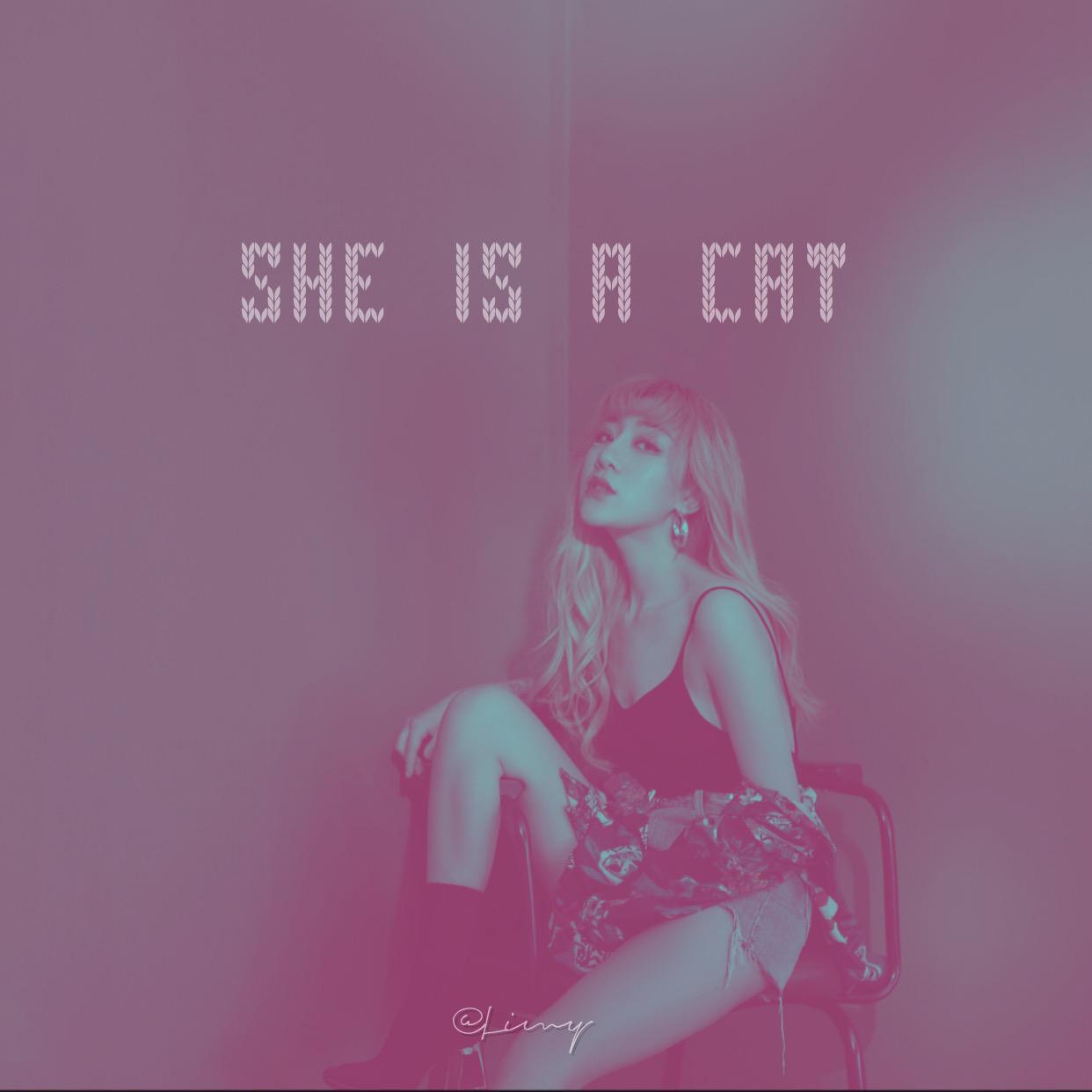 She is a cat.专辑