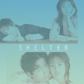 Shelter：今生是第一次