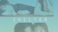 Shelter：今生是第一次专辑