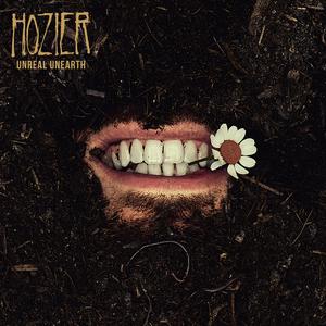 Hozier - Francesca (Karaoke Version) 带和声伴奏