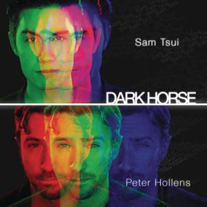 Peter Hollens&Sam Tsui-Dark Horse  立体声伴奏 （升2半音）