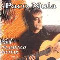 New Flamenco Guitar 2