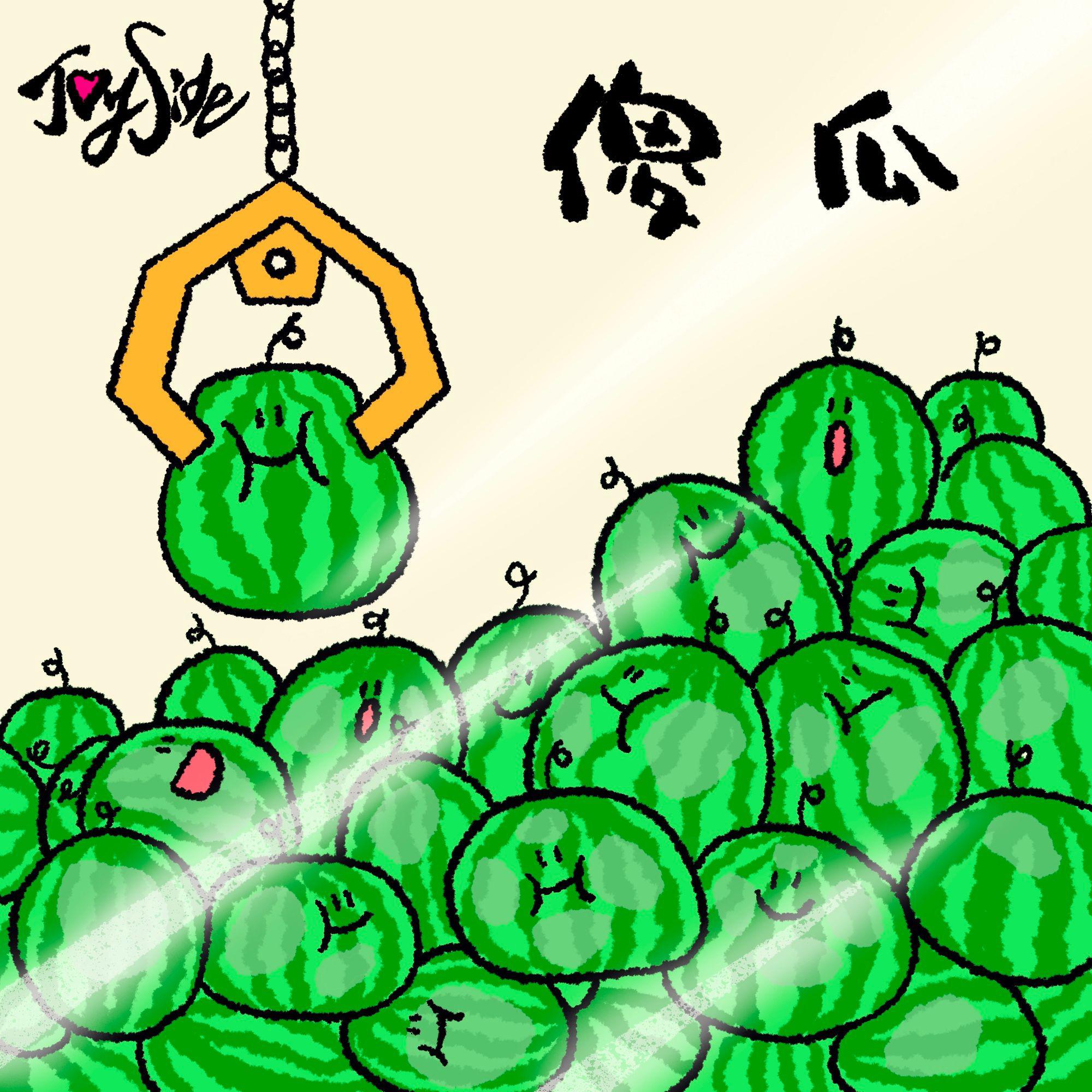 傻瓜专辑