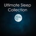 Ultimate Rain Sleep Collection