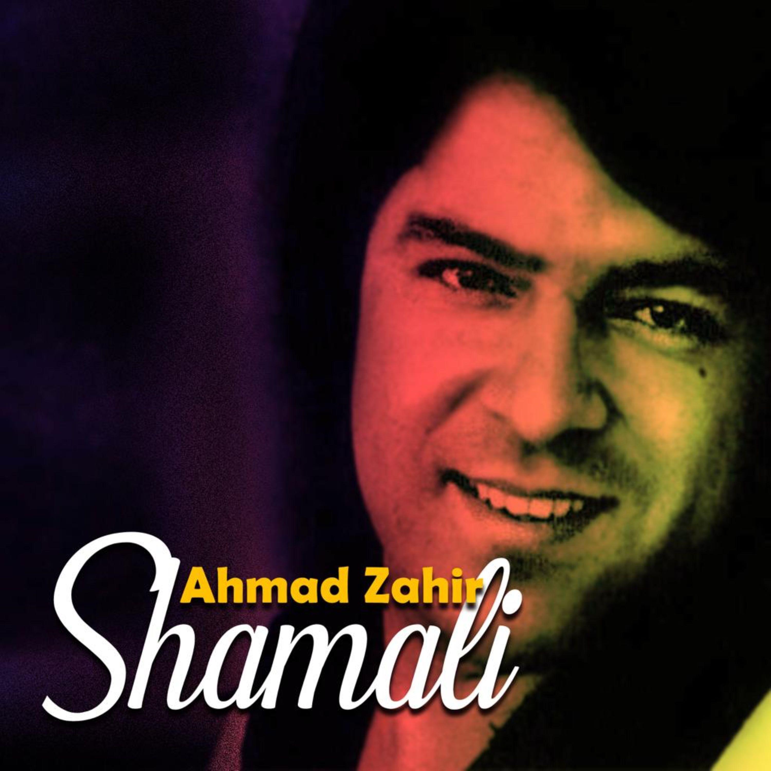 Shamali