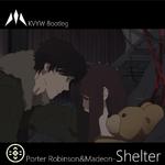 Shelter(KVYW Remix)专辑