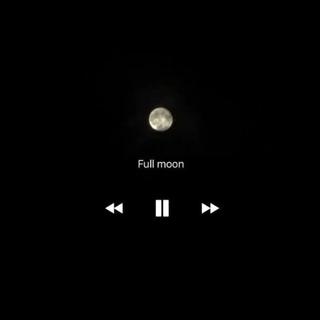 总有一首你会有感而发