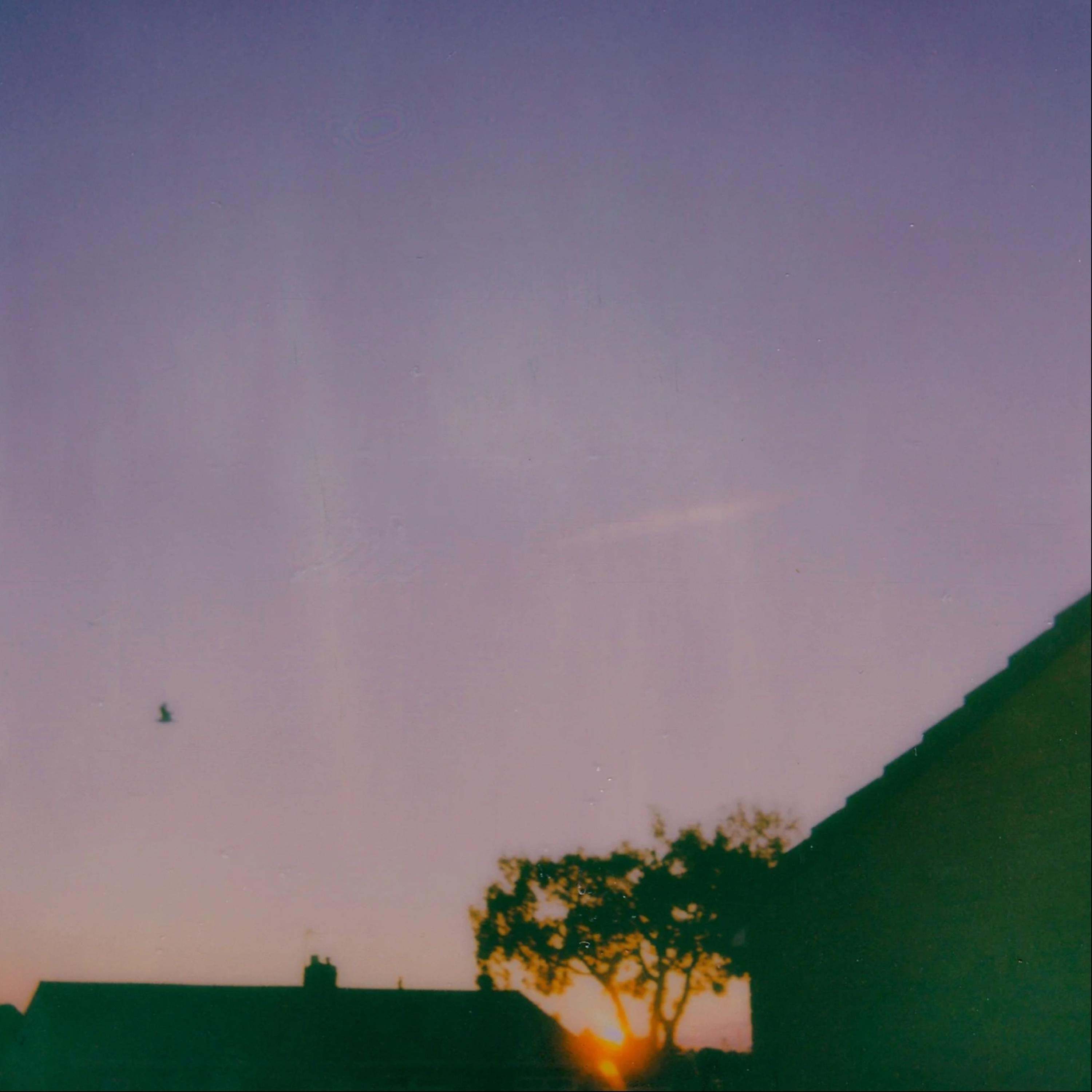 in the morning