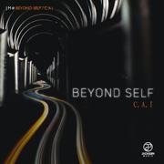 Beyond Self