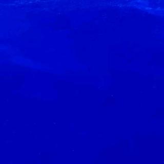 ————请——记——得——我——————