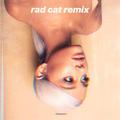 Breathin (Rad Cat Remix)