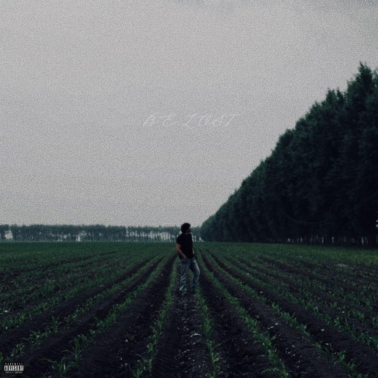 我获得自由但被欲望出卖