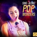 Sing - Along Pop Wonders专辑