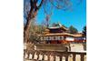 Norbulingka ནོར་བུ་གླིང་ག专辑
