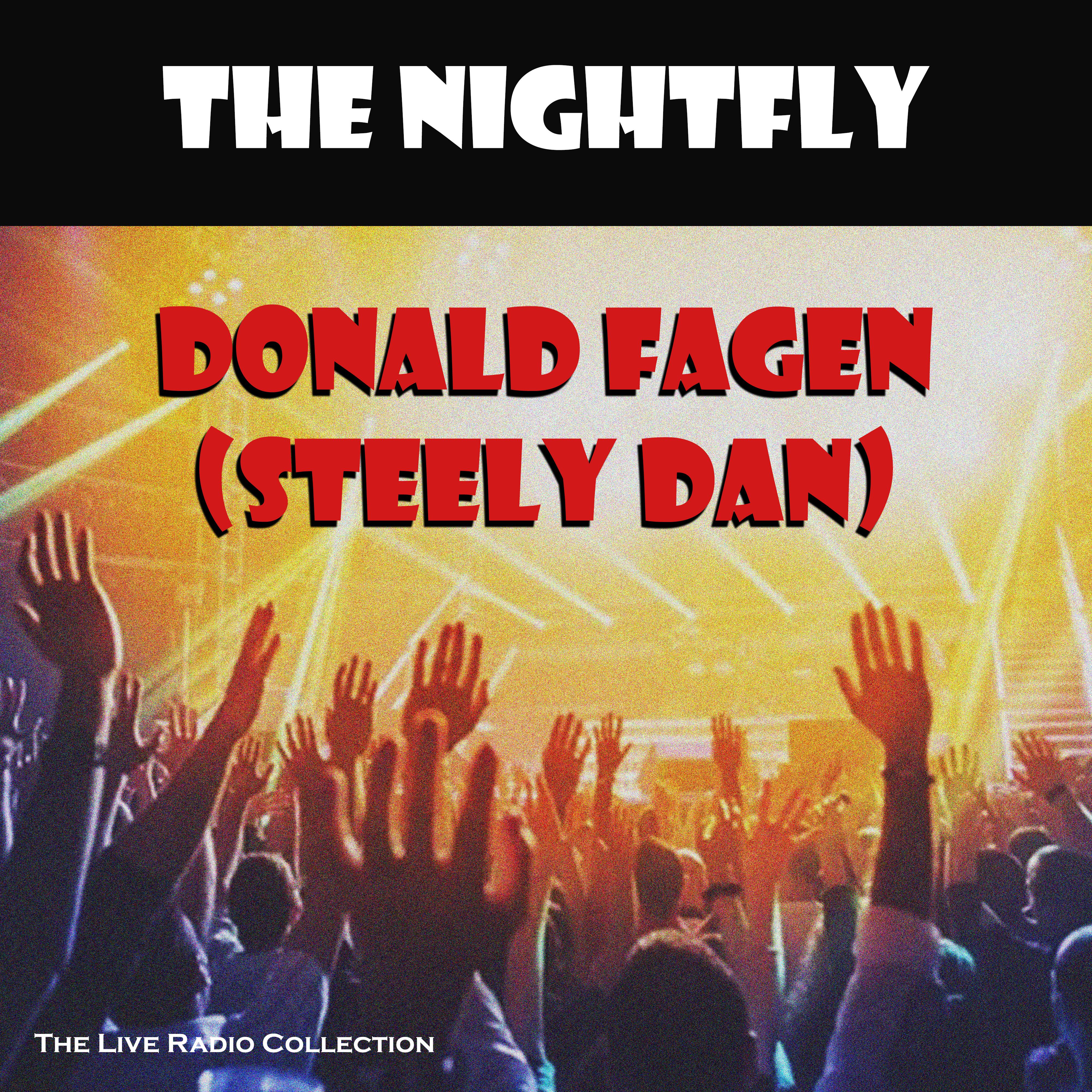 Donald Fagen - Snowbound (Live)